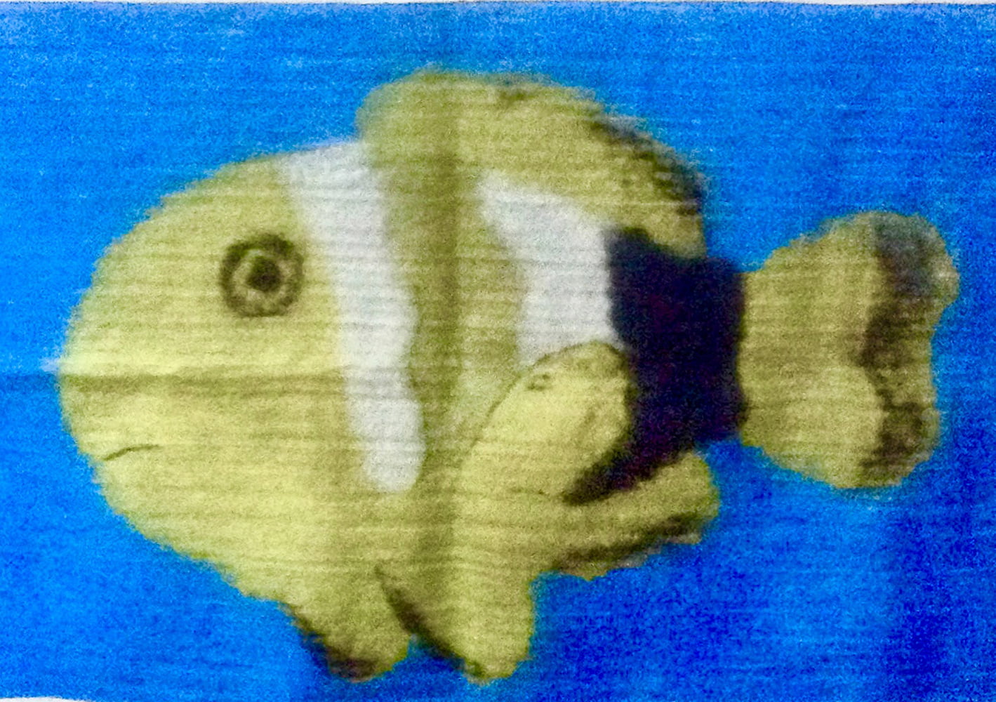 Fish Nemo Larissa Orfanidou - Exquisite Art